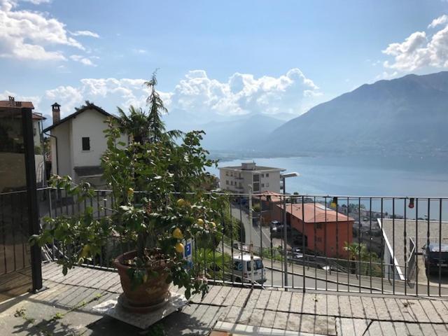 Casa Franceschini Lägenhet Locarno Exteriör bild